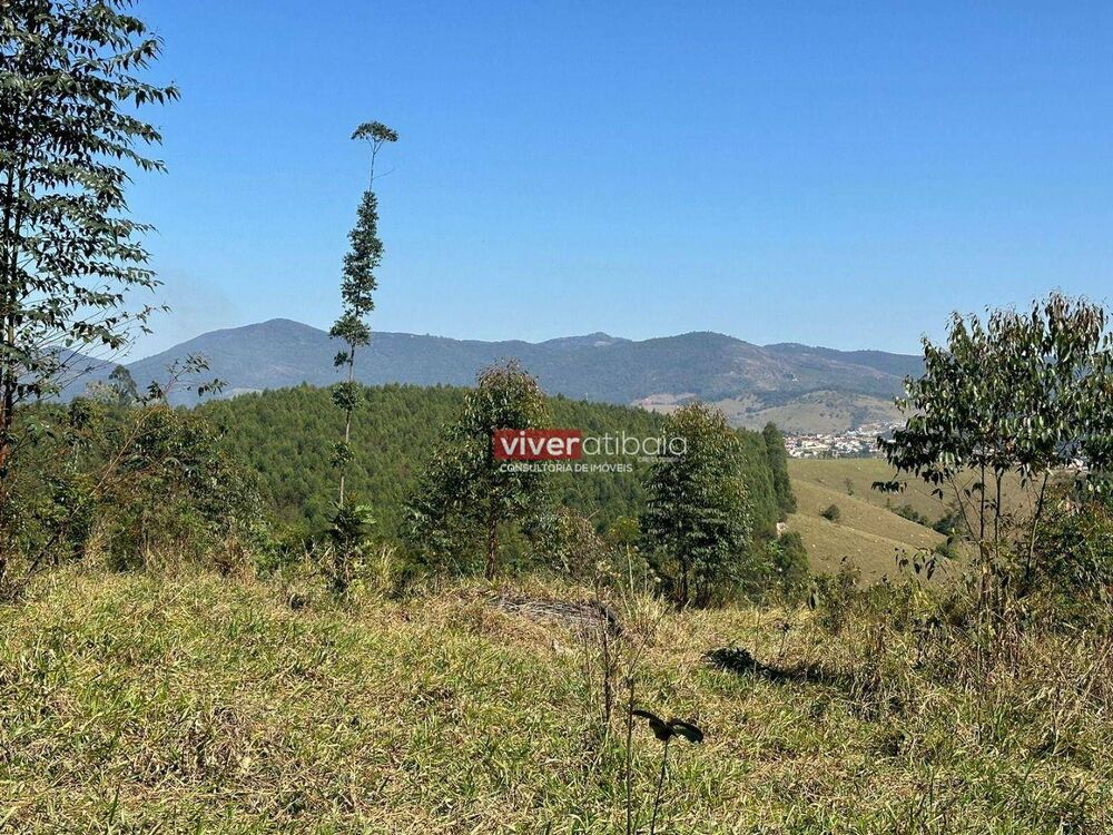 Terreno, 2 hectares - Foto 3
