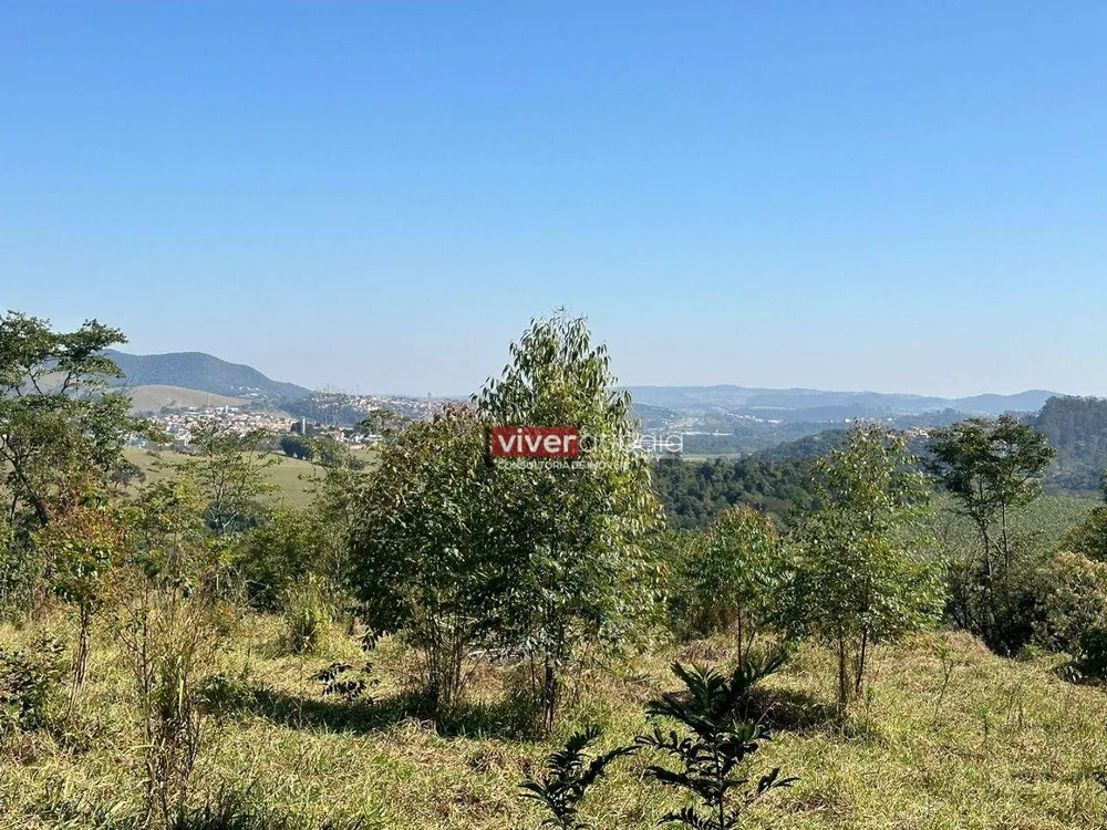 Terreno, 2 hectares - Foto 2