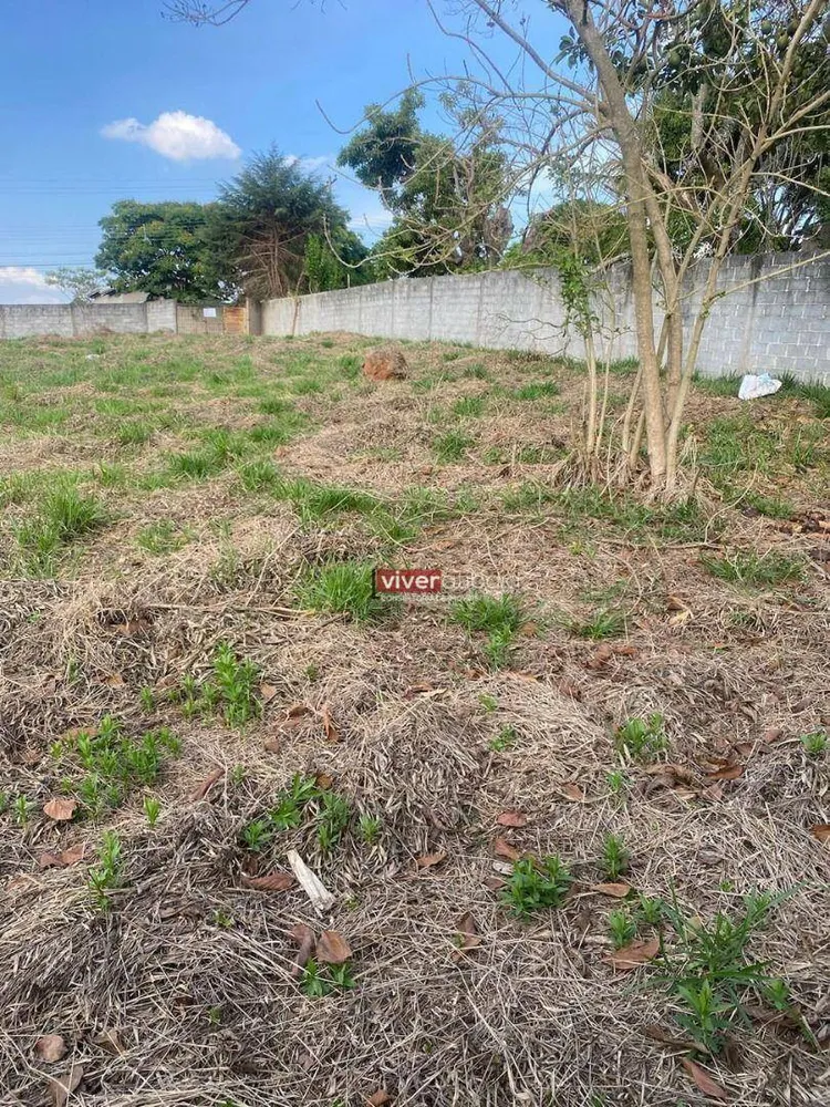 Terreno, 1000 m² - Foto 6