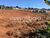 Terreno, 250 m² - Foto 6