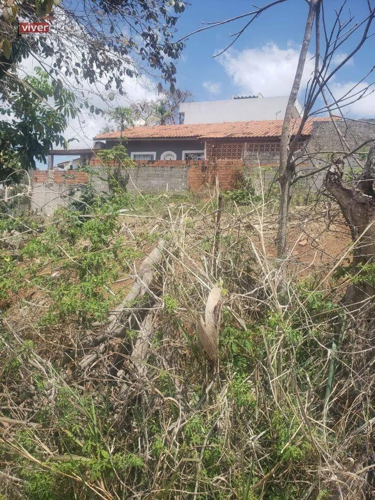 Terreno, 250 m² - Foto 3