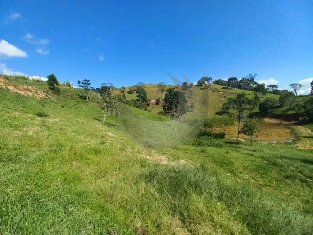 Fazenda à venda com 2 quartos, 150m² - Foto 2