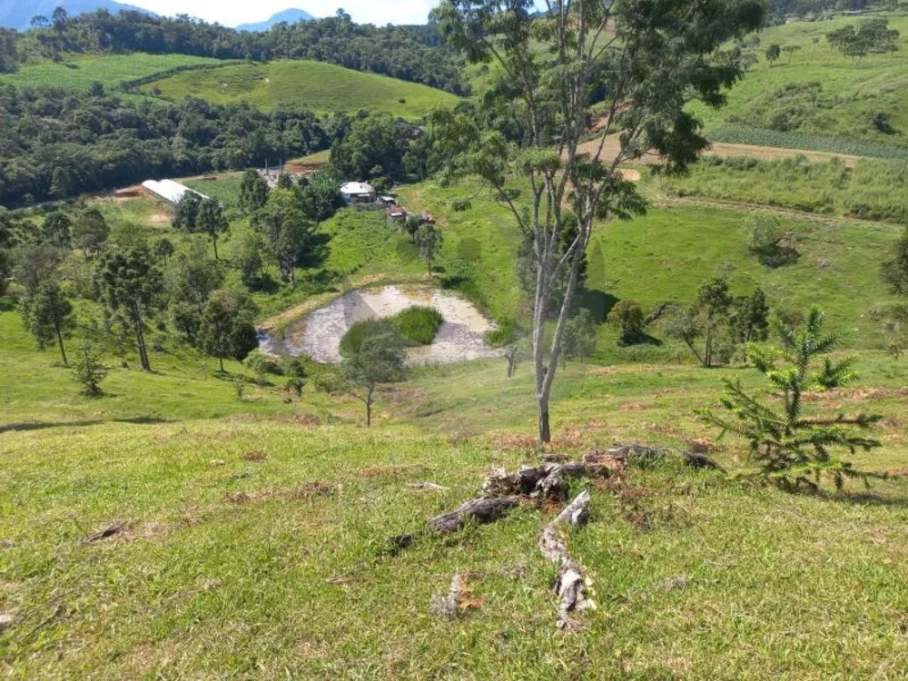 Fazenda à venda com 2 quartos, 150m² - Foto 1