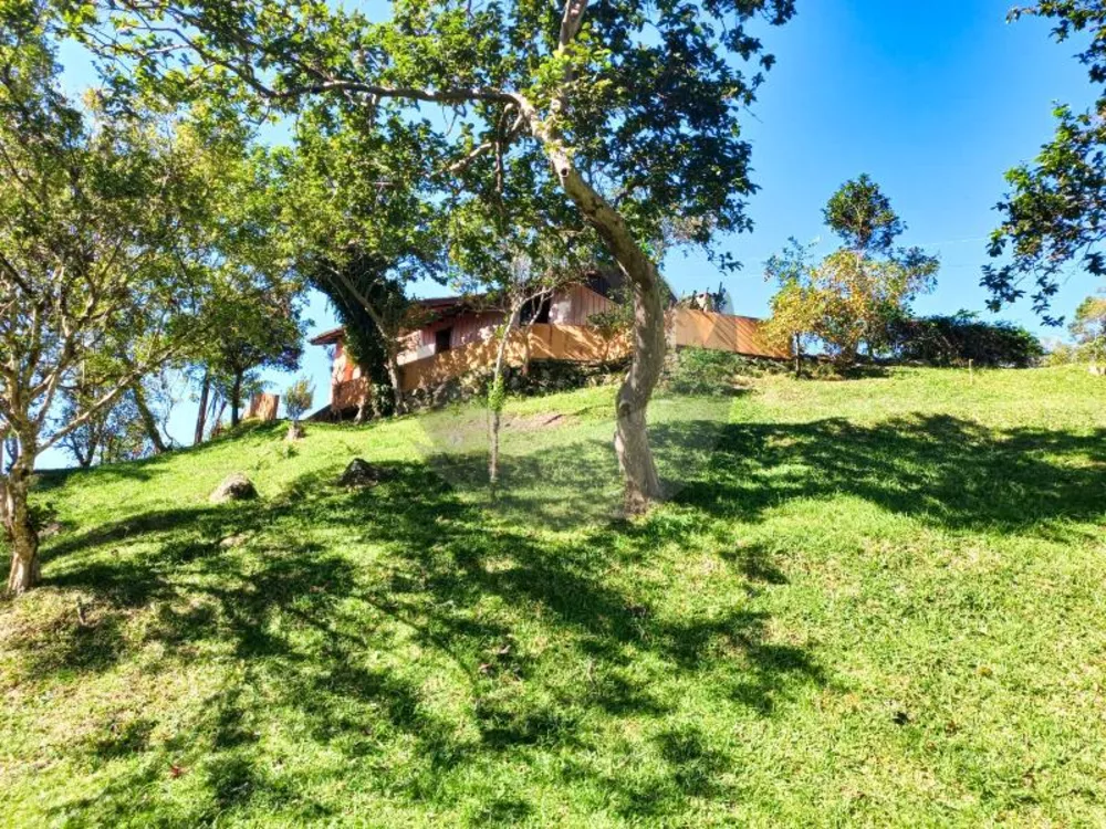 Fazenda à venda com 3 quartos, 60000m² - Foto 4