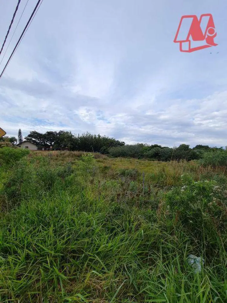 Terreno, 1 hectares - Foto 3