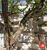 Apartamento, 3 quartos, 113 m² - Foto 1