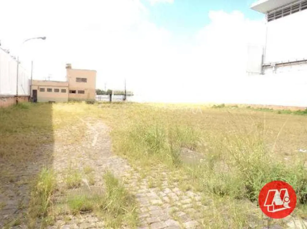 Terreno, 8000 m² - Foto 3