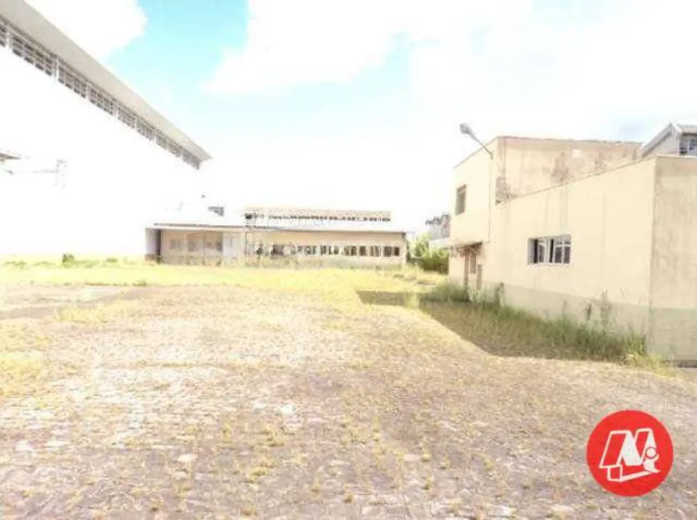 Terreno, 8000 m² - Foto 2