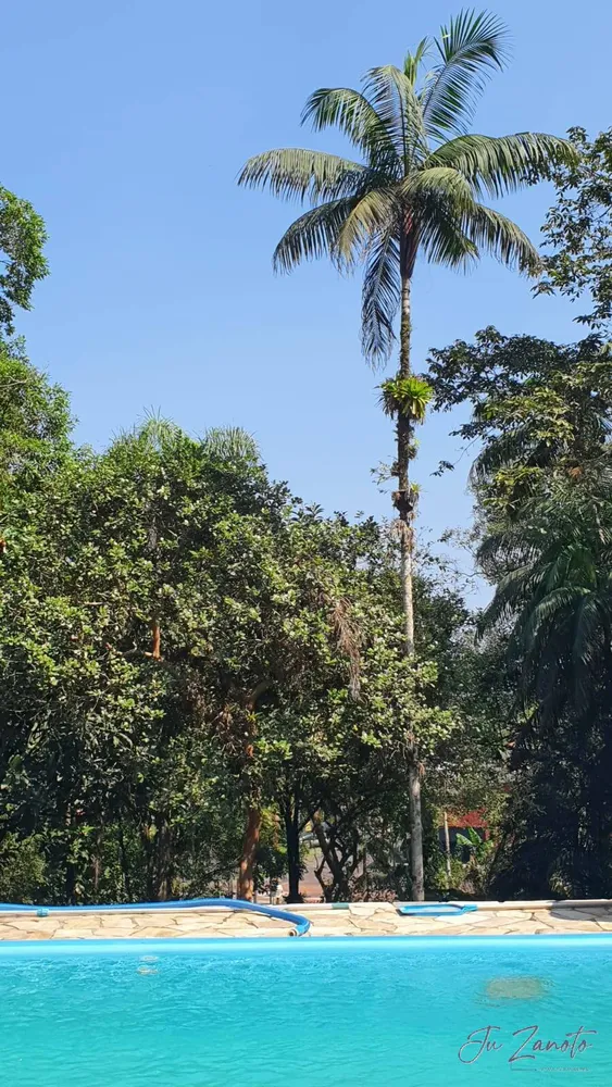 Chácara, 3 quartos, 6000 m² - Foto 3
