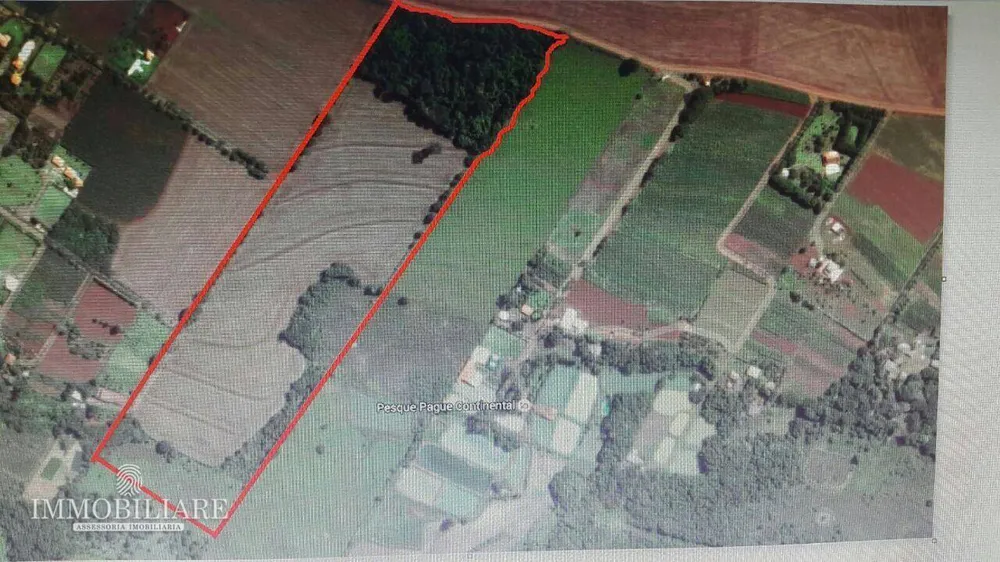 Terreno, 200 hectares - Foto 4