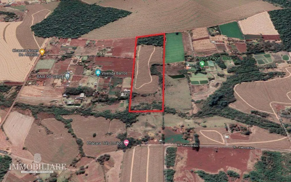Terreno, 200 hectares - Foto 3