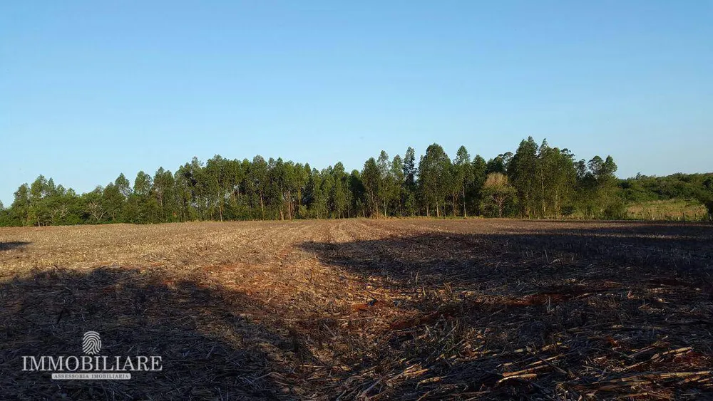 Terreno, 200 hectares - Foto 2