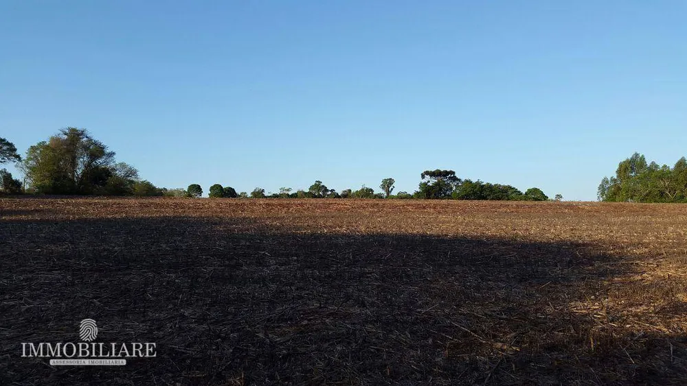Terreno, 200 hectares - Foto 3