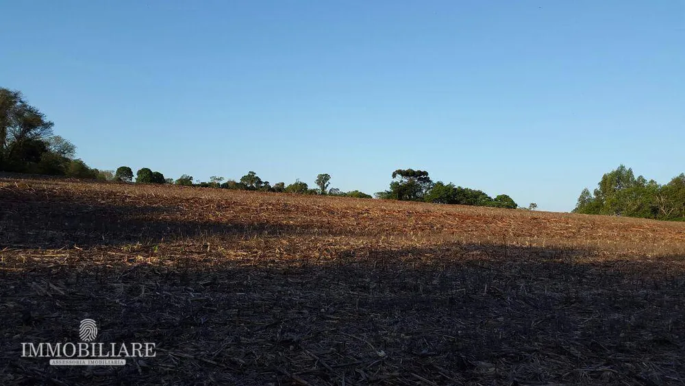 Terreno, 200 hectares - Foto 4
