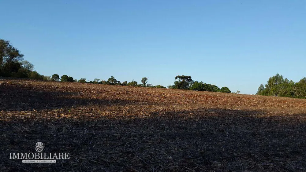 Terreno, 200 hectares - Foto 4