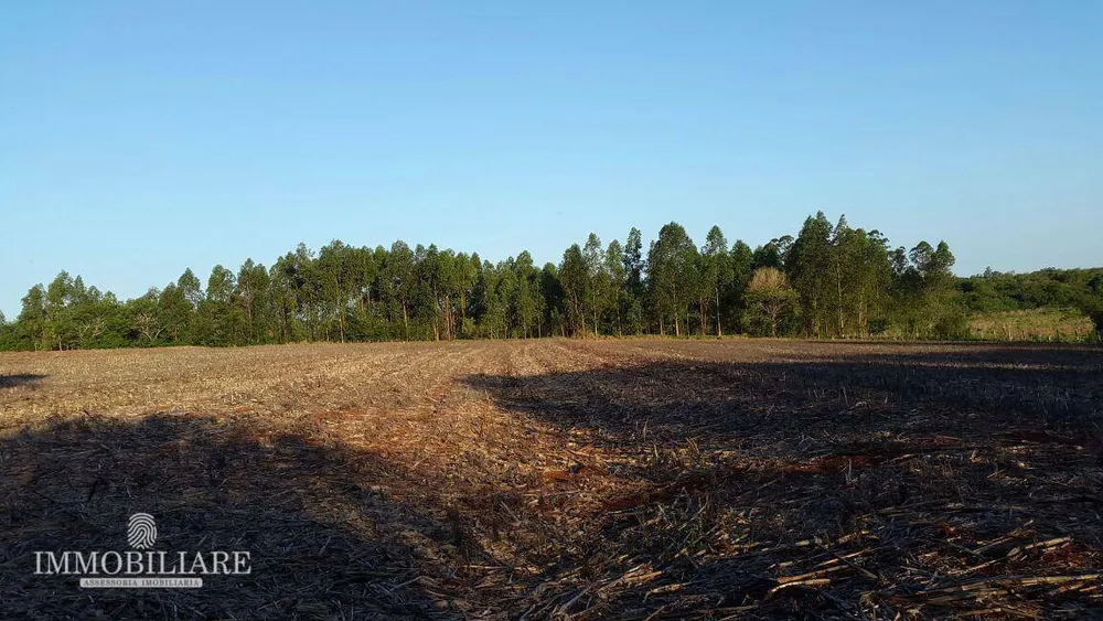 Terreno, 200 hectares - Foto 2
