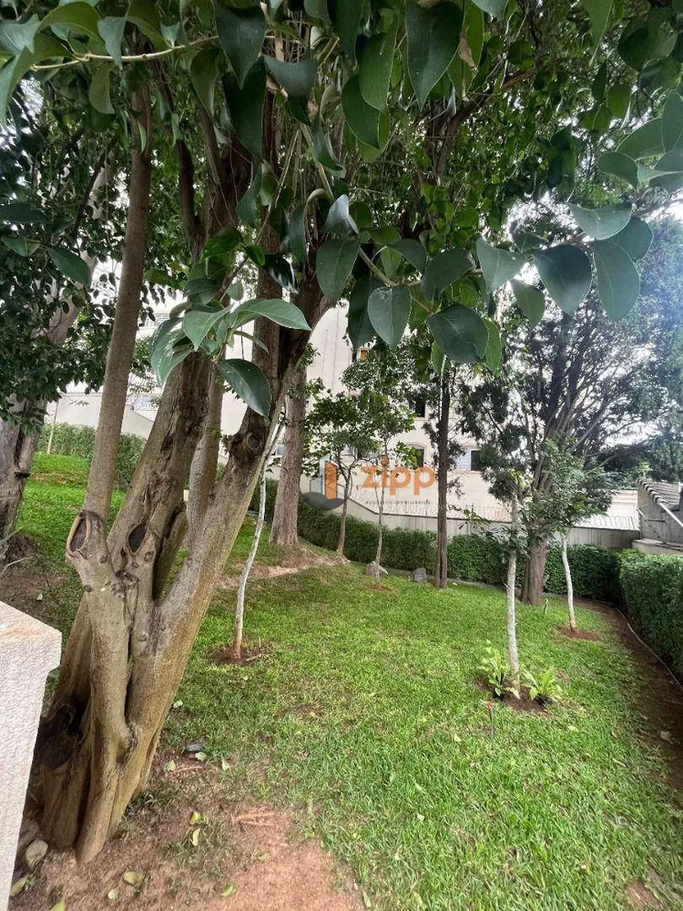 Apartamento, 4 quartos, 263 m² - Foto 1