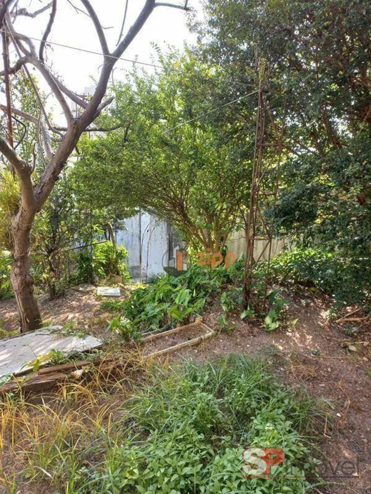 Terreno, 350 m² - Foto 9