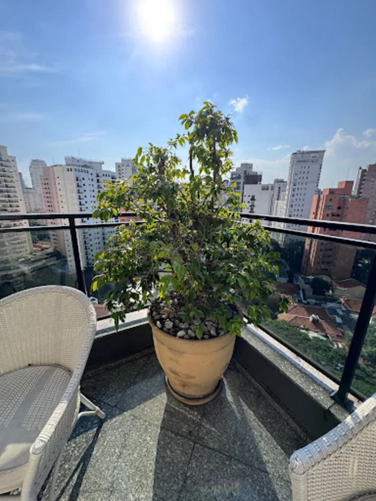 Apartamento, 3 quartos, 220 m² - Foto 8