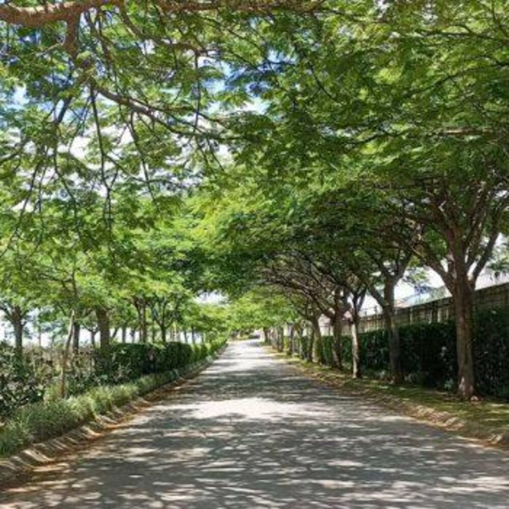 Casa de Condomínio, 4 quartos - Foto 27