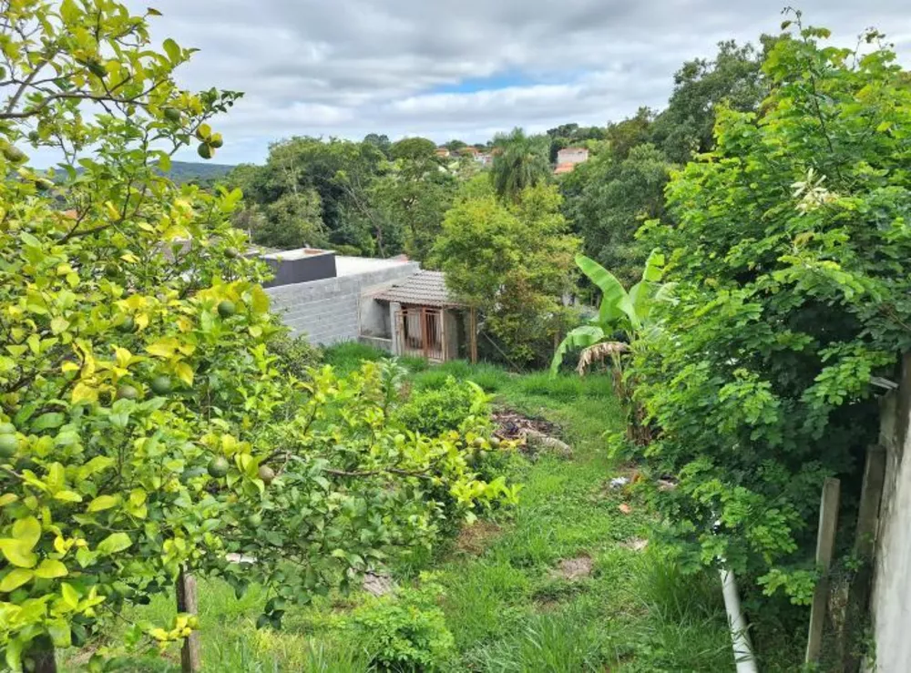 Fazenda à venda com 4 quartos, 950m² - Foto 11