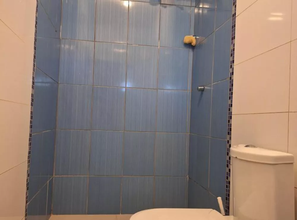 Fazenda à venda com 4 quartos, 950m² - Foto 19