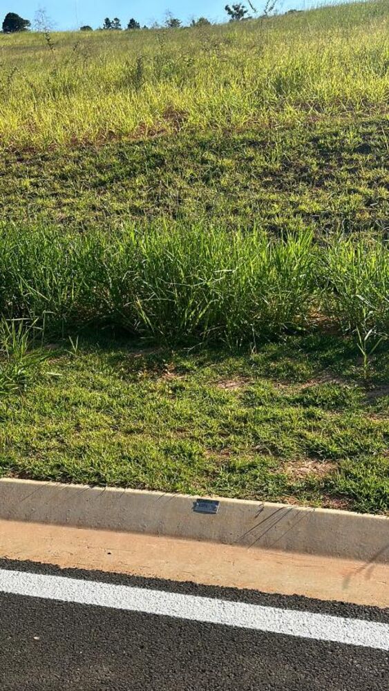 Terreno à venda - Foto 4