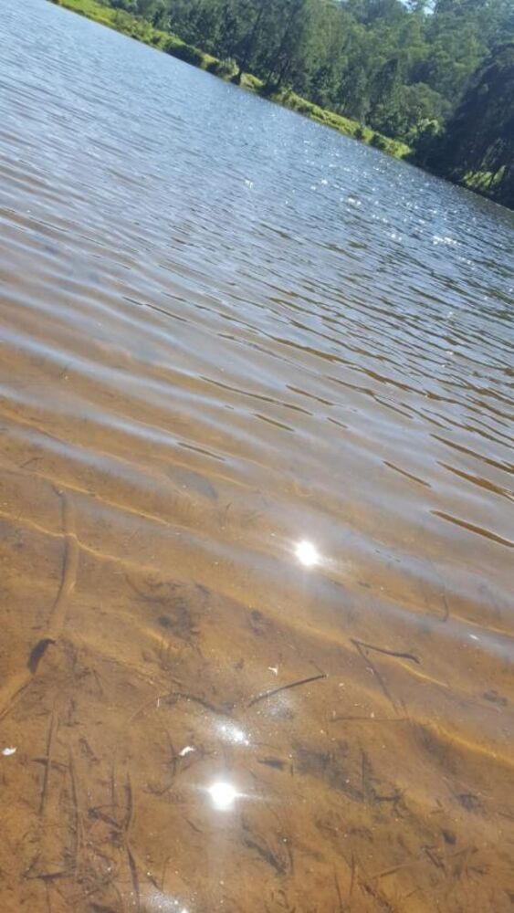 Chácara, 3 quartos, 500 m² - Foto 3