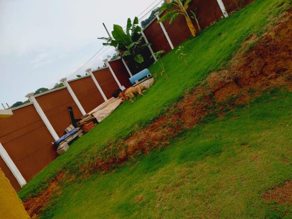 Chácara, 3 quartos, 500 m² - Foto 4