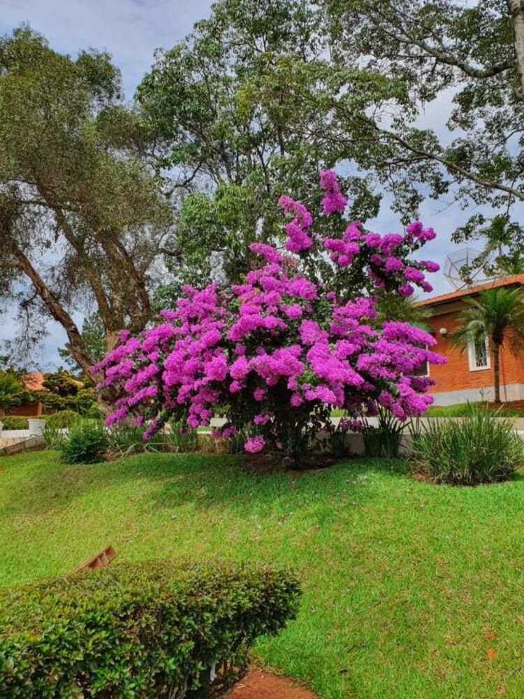 Sítio à venda com 8 quartos, 20000m² - Foto 8