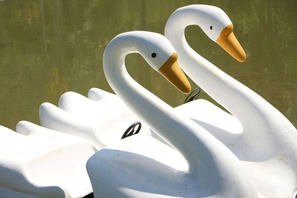 Sítio, 20 quartos, 2 hectares - Foto 3