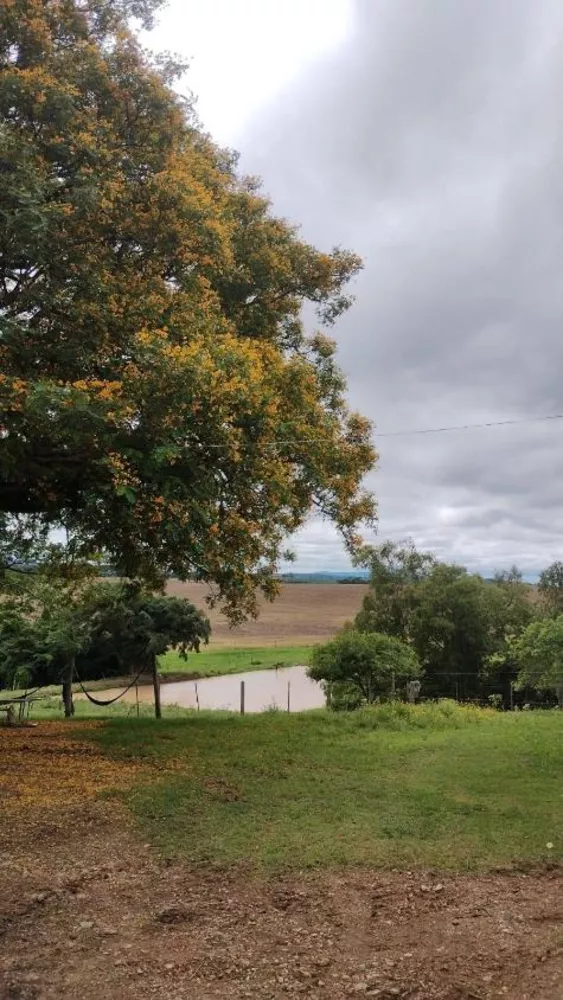 Fazenda à venda com 4 quartos, 1210000m² - Foto 2