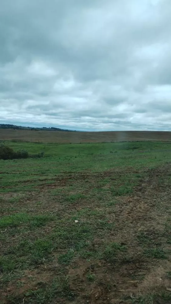 Fazenda à venda com 4 quartos, 1210000m² - Foto 3