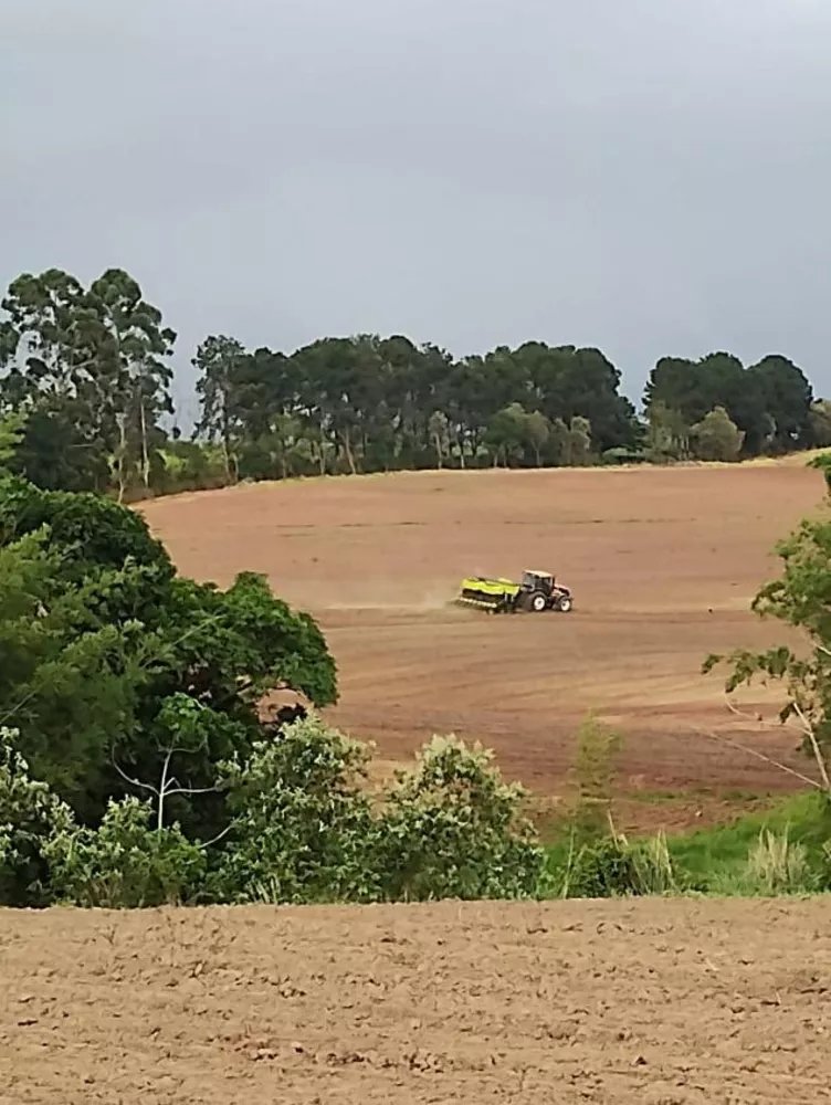 Fazenda à venda com 4 quartos, 1210000m² - Foto 10