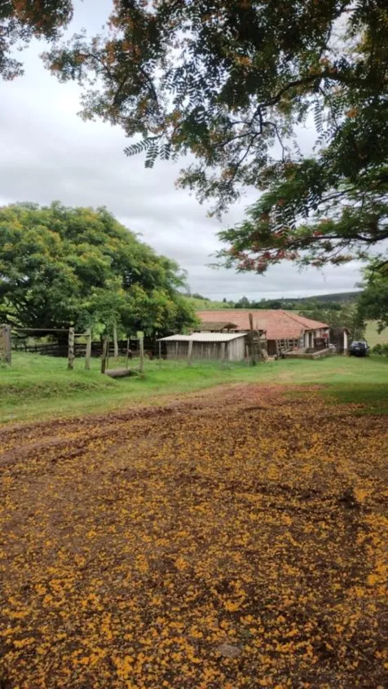 Fazenda à venda com 4 quartos, 1210000m² - Foto 8