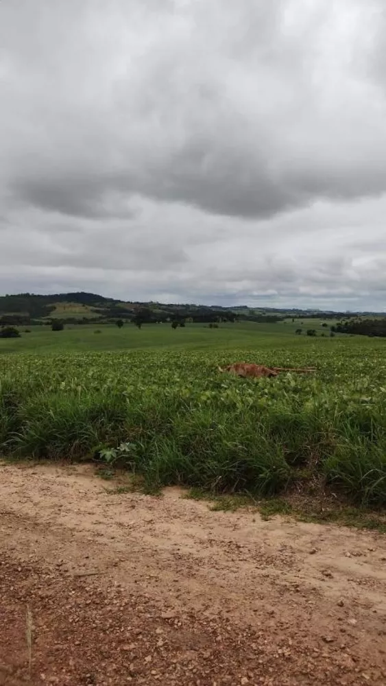 Fazenda à venda com 4 quartos, 1210000m² - Foto 18