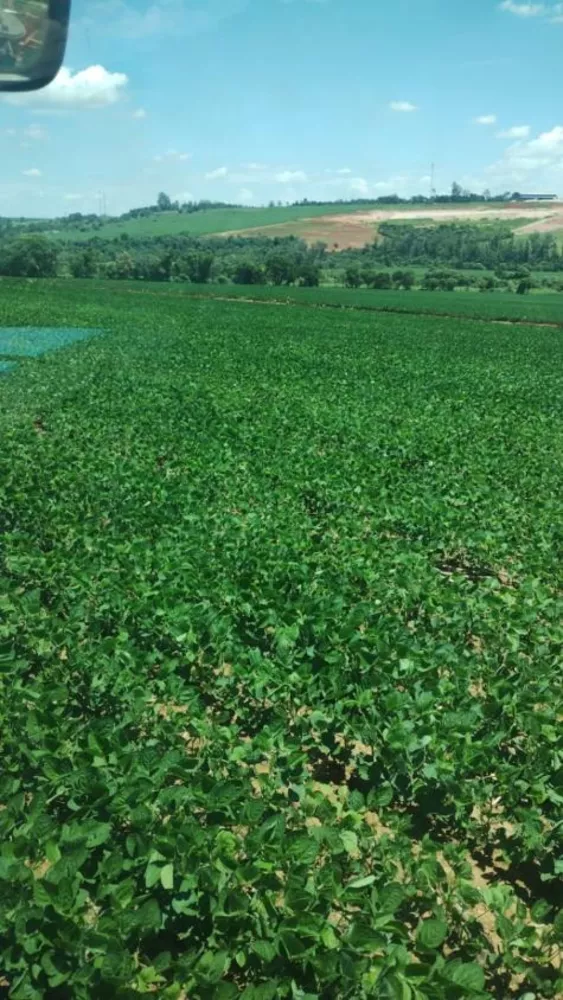 Fazenda à venda com 4 quartos, 1210000m² - Foto 15