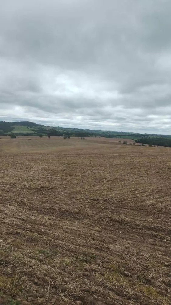 Fazenda à venda com 4 quartos, 1210000m² - Foto 16