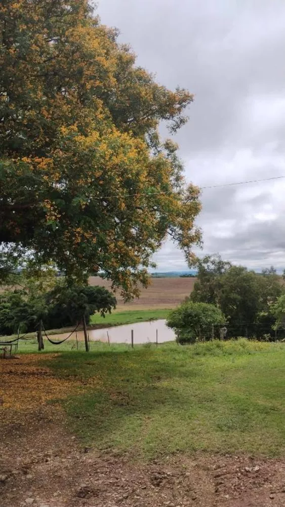 Fazenda à venda com 4 quartos, 1210000m² - Foto 9