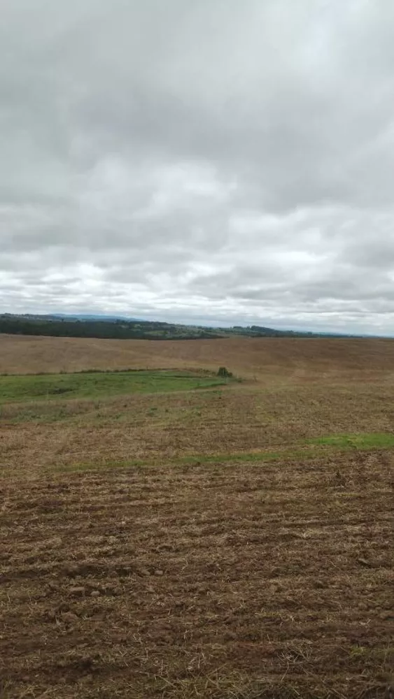 Fazenda à venda com 4 quartos, 1210000m² - Foto 4