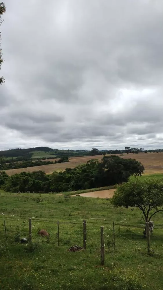 Fazenda à venda com 4 quartos, 1210000m² - Foto 7