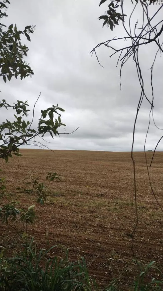 Fazenda à venda com 4 quartos, 1210000m² - Foto 13