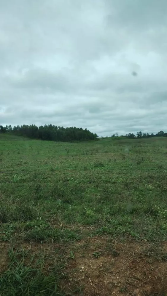 Fazenda à venda com 4 quartos, 1210000m² - Foto 14