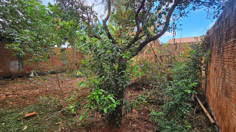 Terreno - Foto 6