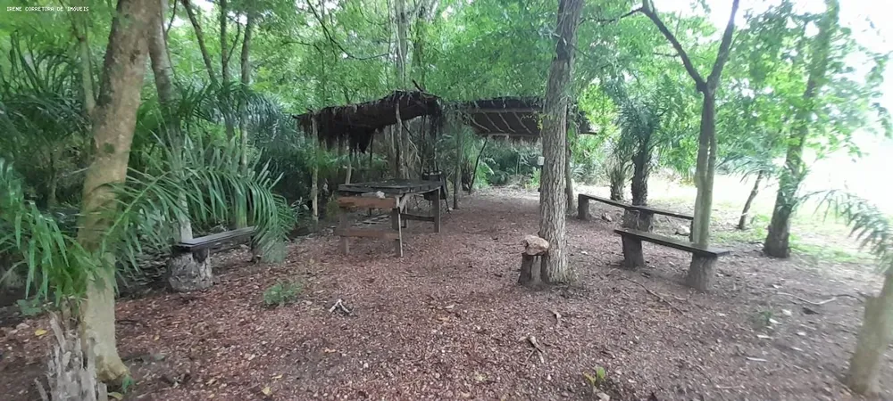 Fazenda, 93 hectares - Foto 6