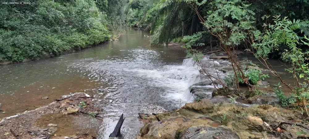 Fazenda, 93 hectares - Foto 9