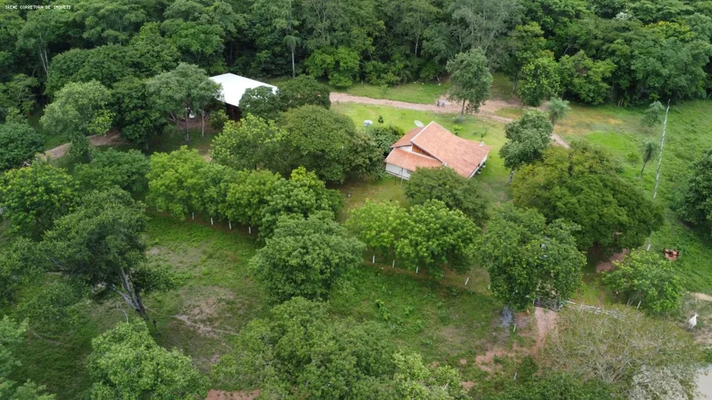 Fazenda, 93 hectares - Foto 5