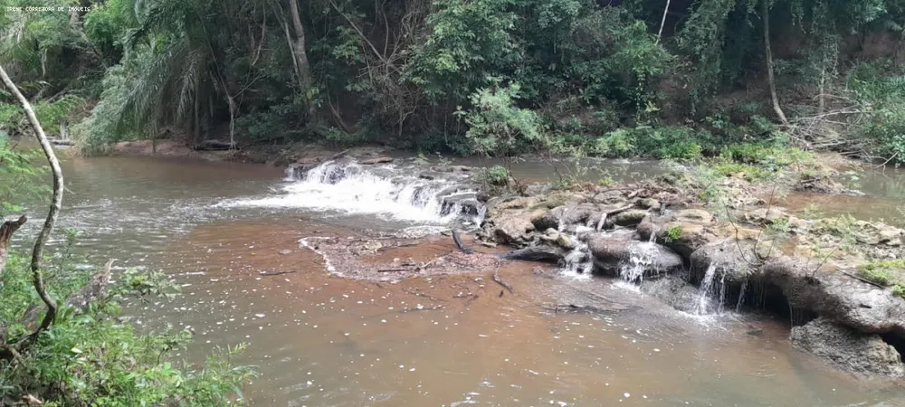 Fazenda, 93 hectares - Foto 12