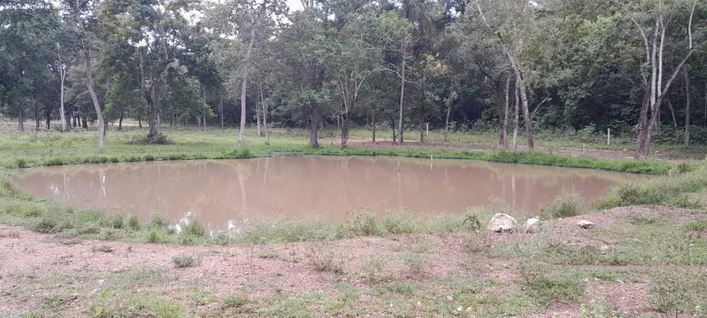 Fazenda, 93 hectares - Foto 7