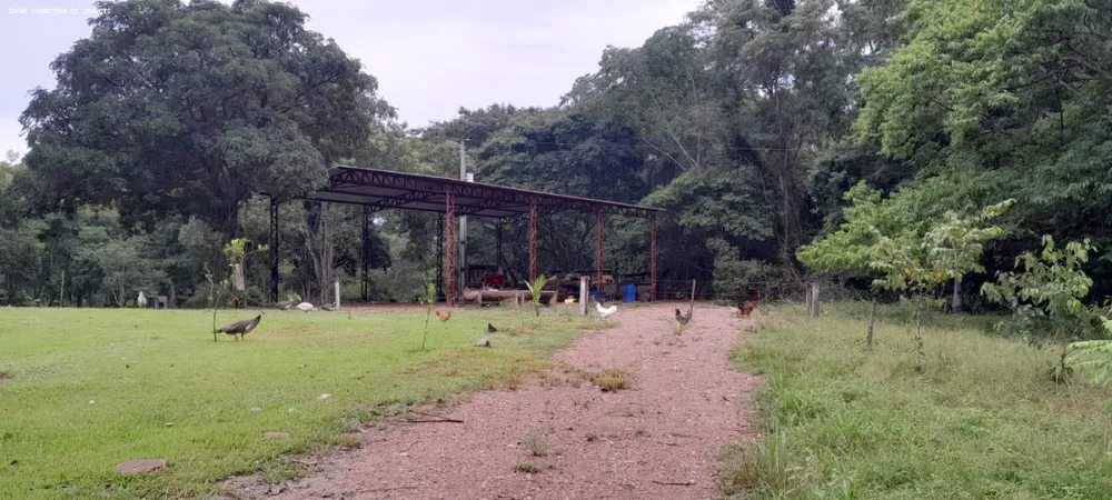 Fazenda, 93 hectares - Foto 8